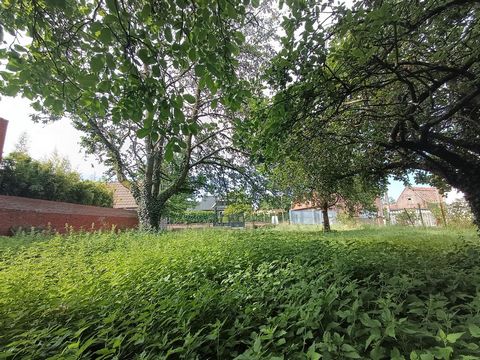 photo no. 2
