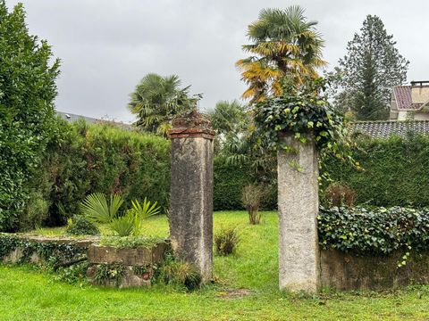 photo no. 4
