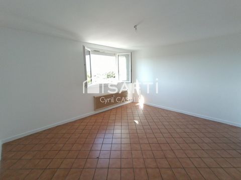 photo no. 6