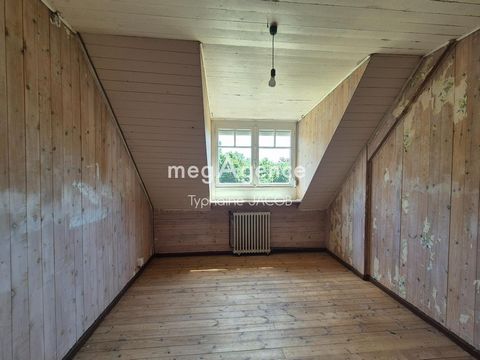 photo no. 7