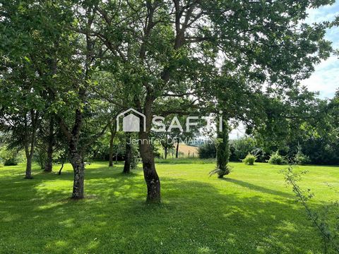 photo no. 10
