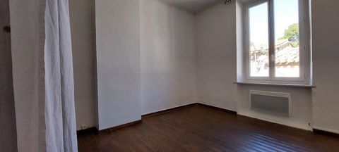 photo no. 6