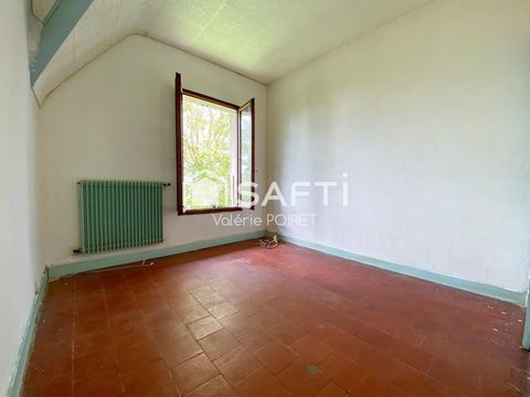 photo no. 5