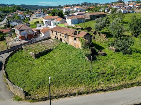 Quinta em Macinhata do Vouga, na zona de Serém de Baixo, com uma área total de terreno de 7.049 m² e uma casa com 561 m² (necessita de recuperação). Descubra esta encantadora quinta situada em Macinhata do Vouga, um verdadeiro refúgio no coração da n...