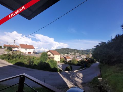 photo no. 1