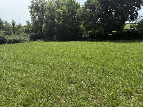 photo no. 10