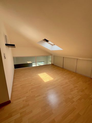 photo no. 7