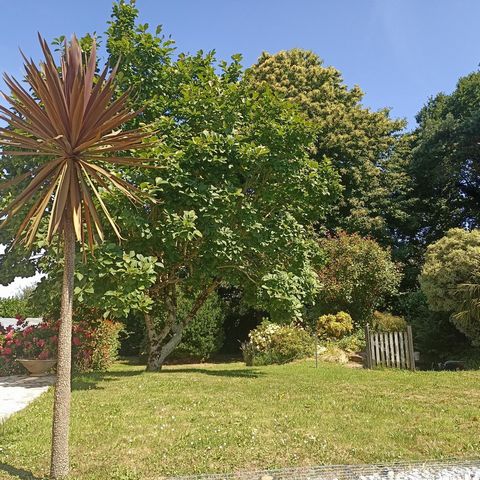 photo no. 9