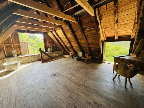 photo no. 13