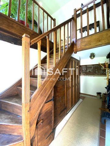 photo no. 11