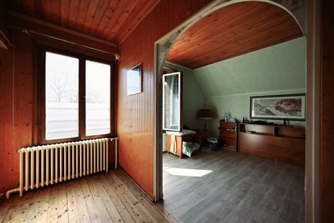 photo no. 9