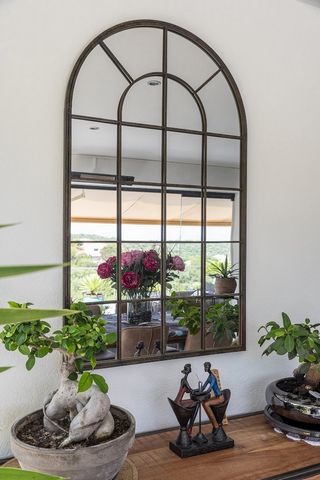 photo no. 11