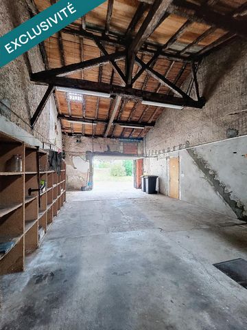 photo no. 6
