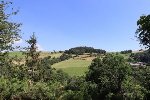 photo no. 1