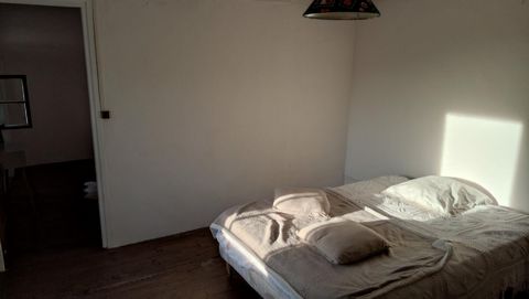 photo no. 3