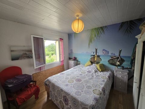 photo no. 13