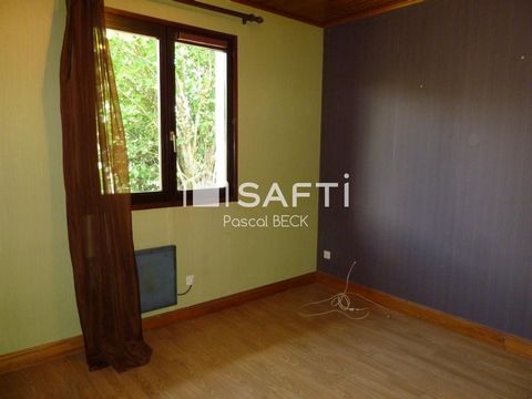 photo no. 12