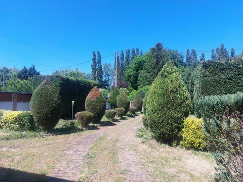 Maison de plain pied à 5 minutes de Vierzon avec très grand parc arboré et constructible