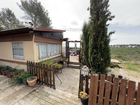 photo no. 14