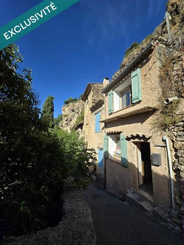 photo no. 19