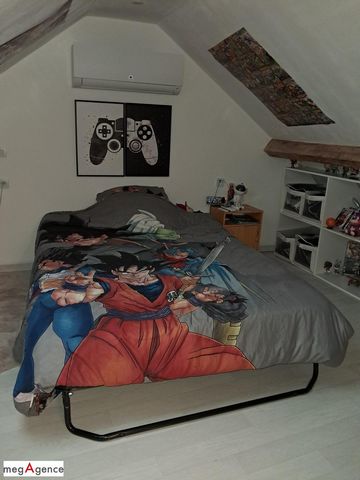 photo no. 7