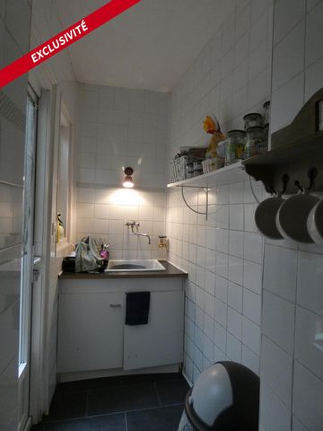 photo no. 5