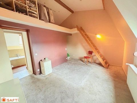 photo no. 16