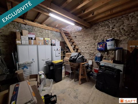 photo no. 12