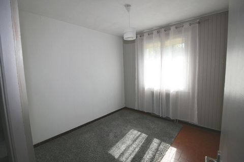 photo no. 8