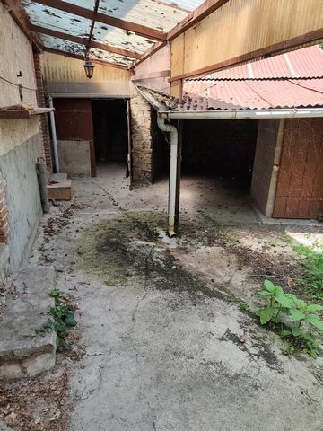 photo no. 2