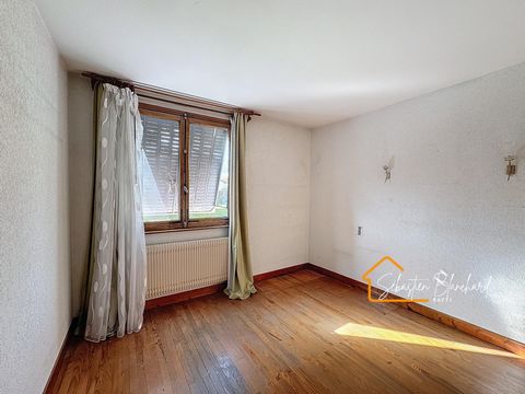 photo no. 7