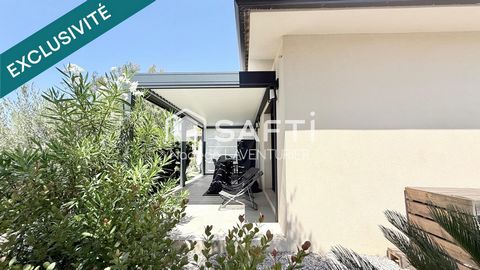 photo no. 10