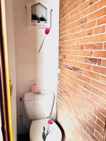 photo no. 10