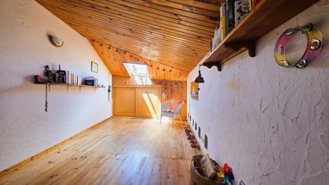 photo no. 10