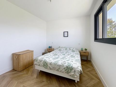 photo no. 9