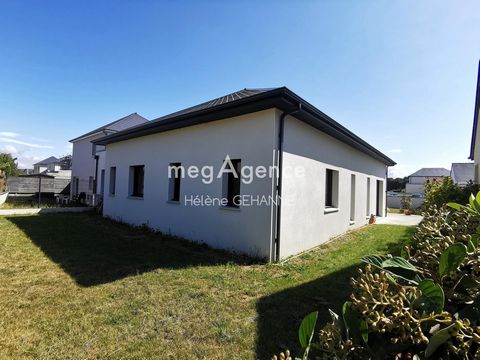photo no. 11