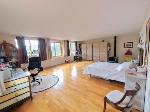 photo no. 6