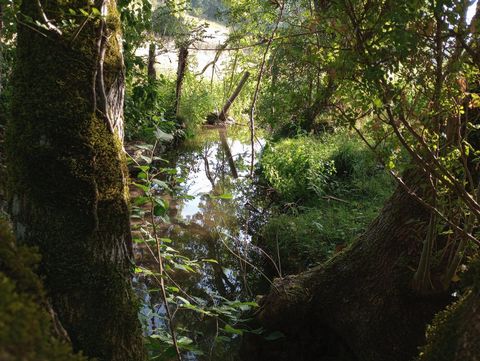 photo no. 15