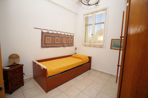 photo no. 8