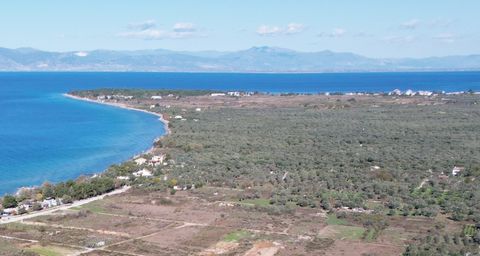 Property Code. 11729 - Agricultural FOR SALE in Thasos Ormos Prinou for € 200.000 . Discover the features of this 2188 sq. m. Agricultural: Distance from sea 150 meters, The office of Thassos Realestate is located on Thassos Island and specializes in...
