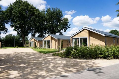 This modern, single-floor, detached chalet is located at Resort Kaatsheuvel, which opened in 2019 and is only 2 km from the world-famous amusement park De Efteling. You will have a bright living room with TV at your disposal. In the open-plan kitchen...