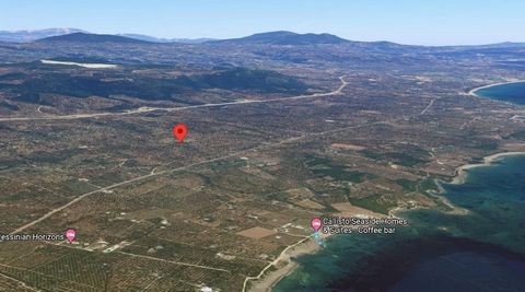 For sale an agricultural plot of 8ooo sq.m. at Pigadia, Trifylia, Peloponnese. It includes 180 olive trees with a production of about 1000 kg of olive oil, 10, orange Navalines, a Pomegranate, a Kalamon olive, a lemon, two wells with  pumping station...