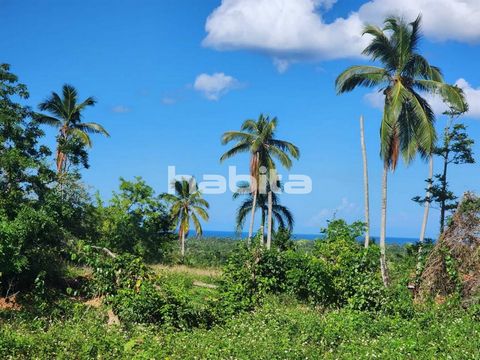 Ocean view lot/plot that can handle villa or apprtment to enjoy the best view possible. Area already have electricity and water.