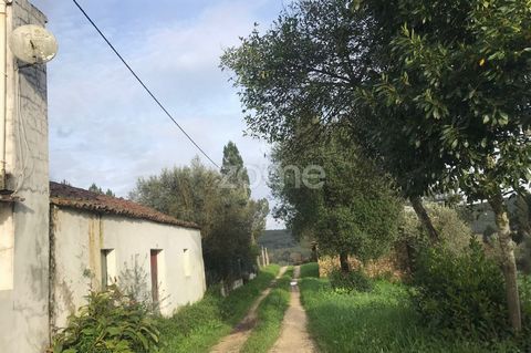 Property ID: ZMPT553096 Interesting property inserted in a green area and in one of the most sought after areas to live in the countryside and close to river beaches. It is an area also sought after by nationals and foreigners for the requalification...