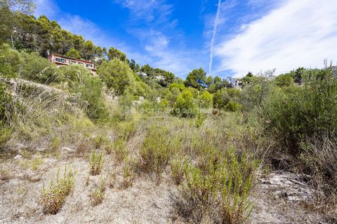 Elevated plot with lots of potential in a privileged area of Galilea, Puigpunyent This is a great opportunity to invest in an urban plot which is offered for sale in the peaceful village of Galilea, surrounded by nature and walking distance from the ...