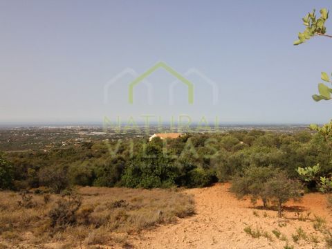Rustic land in beautiful area in Alcaria Branca, Estoi in the Algarve. The property has a total land area of 6.960m2 offering a panoramic and wonderful sea view. It is composed of arable culture, bush and rainfed trees characteristic of the Algarve r...
