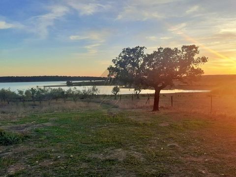 Property in Oriola, located in the heart of Alentejo at 30 kms from Beja and 30 kms from Évora, with an area of 8750 m2 completely fenced, with beautiful views and direct access to the lake belonging to the Albergaria dos Fusos dam. The land has a bu...