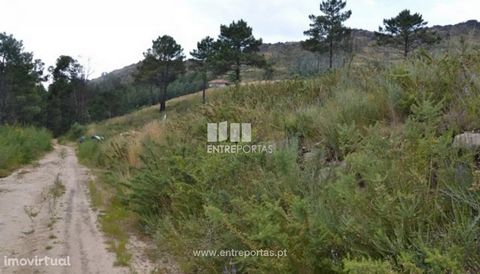Land for sale, located in a quiet and quiet place, comprehensive landscape and the Douro valley and mountains. Area of 12 000 m2. Sande, Marco de Canaveses. Ref.: MC05927 FEATURES: Land Area: 12 000 m2 Area: 12 000 m2 Useful Area: 12 000 m2 Energy Ef...