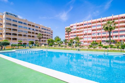 New apartment for rent with new renovation and new furniture in the beach area of Torrevieja — La Mate! The total area of the apartment is 55 m2, consists of a living room, 2 bedrooms, an American kitchen, two bathrooms and a huge terrace with stunni...