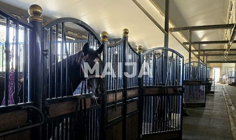 The largest insulated indoor riding hall in the Baltics, featuring top-tier livery services. This equestrian complex accommodates 49 horses, expandable to 69 boxes on 1.5ha of private land plus 20ha rented.Breeding from some of the best bloodlines in...